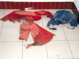 女子遭轿车拖行1700米死亡(组图)