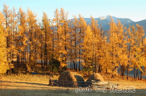 最长黄金周之新疆西天山8日经典越野线路