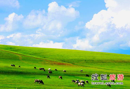 美丽的呼伦贝尔草原 314km