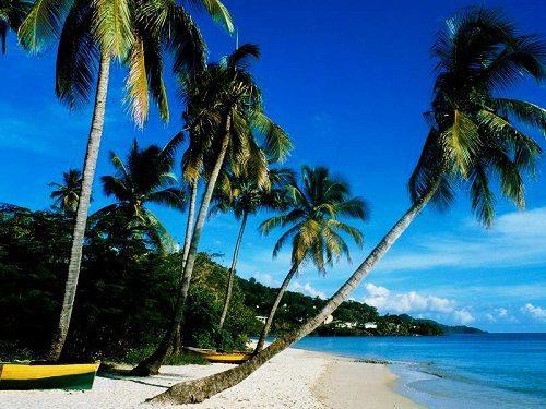 海南体味初夏温暖　海南自驾全攻略